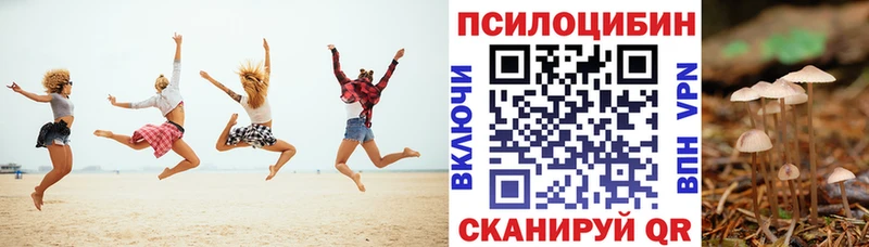 Купить где  Смоленск  Псилоцибиновые грибы прущие грибы 