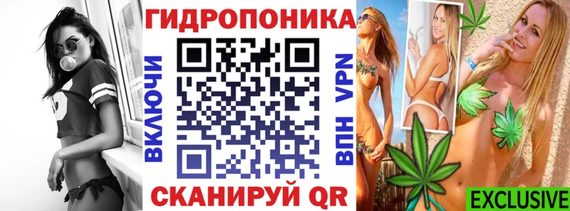 Купить закладки  Смоленск  Канабис сатива 